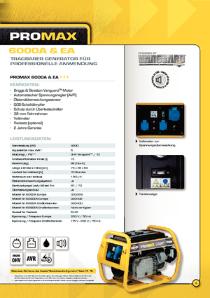 डीजल पावर जनरेटर Vanguard Promax 6000 EA