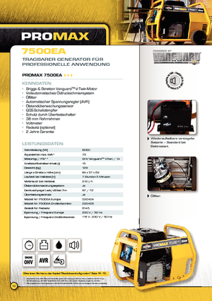 डीजल पावर जनरेटर Vanguard Promax 7500 EA