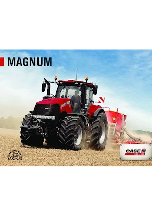 4WD ट्रैक्टर Case IH Magnum 250 CVX Basis