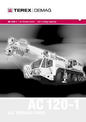 ऑल-टेरेन क्रेन Terex-Demag AC 120-1 (10x8x8)