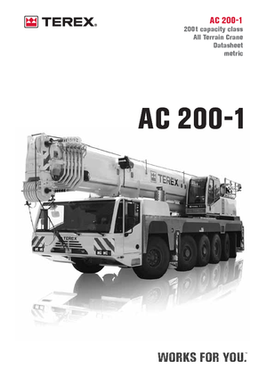 ऑल-टेरेन क्रेन Terex-Demag AC 200-1 (10x8x8)