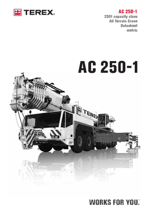 ऑल-टेरेन क्रेन Terex-Demag AC 250-1 (12x8x10)