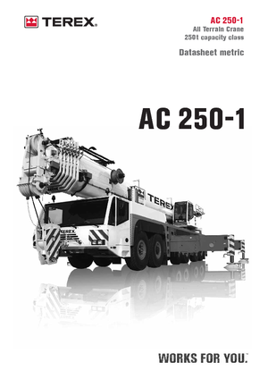 ऑल-टेरेन क्रेन Terex-Demag AC 250-1 (12x8x10)