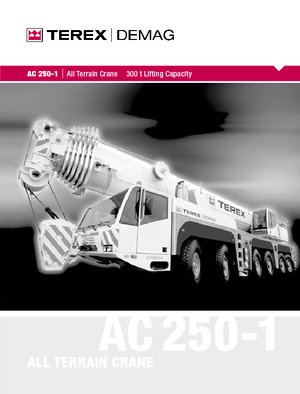 ऑल-टेरेन क्रेन Terex-Demag AC 250-1 (12x8x10)