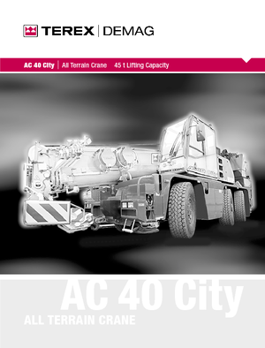 ऑल-टेरेन क्रेन Terex-Demag AC 40 City (6x4x6)