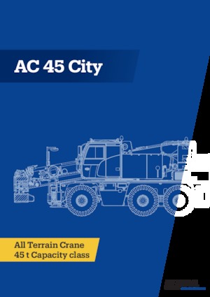 ऑल-टेरेन क्रेन Terex-Demag AC 45 City