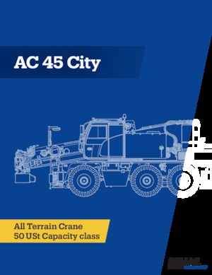 ऑल-टेरेन क्रेन Terex-Demag AC 45 City