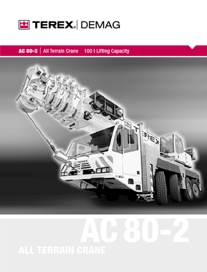 ऑल-टेरेन क्रेन Terex-Demag AC 80-2 (8x6x8)