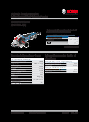 एंगल ग्राइंडर Bosch GWX 19-125 S