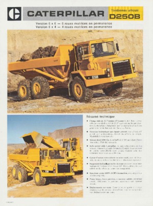 आर्टिकुलेटेड डंप ट्रक Caterpillar D250B