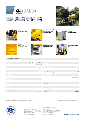 वुड चिपर TS-Industrie GM 10 M 80