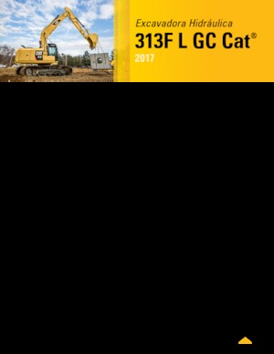 क्रॉलर एक्सकेवेटर Caterpillar 313F L GC