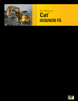 क्रॉलर एक्सकेवेटर Caterpillar 6030 FS