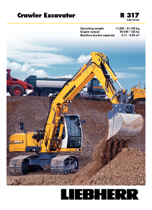 क्रॉलर एक्सकेवेटर Liebherr R 317 Litronic