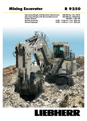 क्रॉलर एक्सकेवेटर Liebherr R 9250 