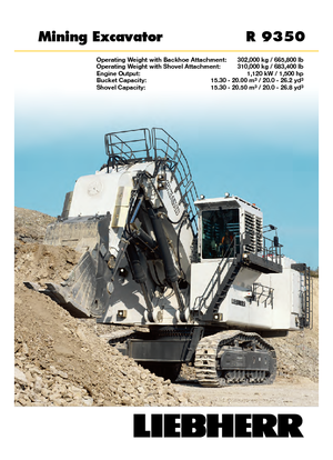 क्रॉलर एक्सकेवेटर Liebherr R 9350 