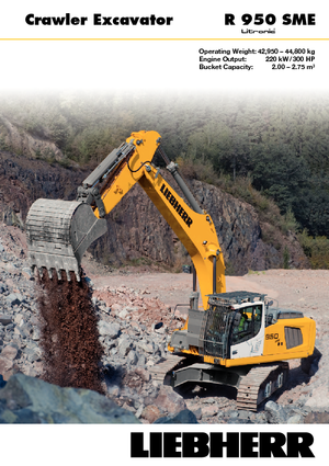 क्रॉलर एक्सकेवेटर Liebherr R 950 SME