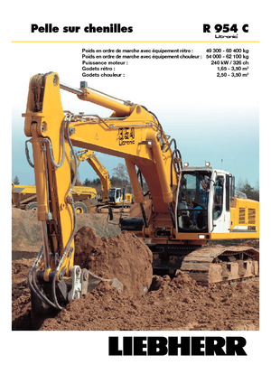 क्रॉलर एक्सकेवेटर Liebherr R 954 C Litronic