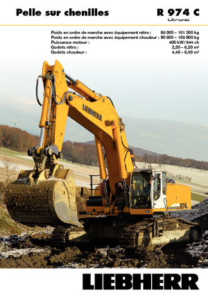 क्रॉलर एक्सकेवेटर Liebherr R 974 C Litronic