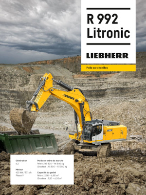 क्रॉलर एक्सकेवेटर Liebherr R 992 Litronic 