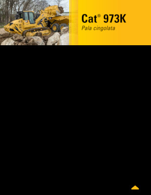 क्रॉलर लोडर Caterpillar 973K