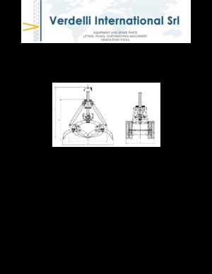 डिमोलिशन सॉर्टिंग ग्रैब Verdelli F.M. 1000