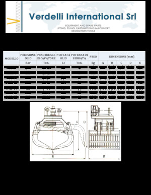 डिमोलिशन सॉर्टिंग ग्रैब Verdelli M.I.D. 5