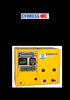 गैसोलीन पावर जनरेटर Endress ESE 608 DHG ES Diesel DIN Super Silent Plus