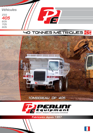 रिजिड डंप ट्रक Perlini DP 405 WD