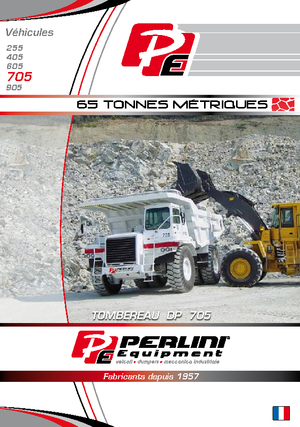 रिजिड डंप ट्रक Perlini DP 705 WD