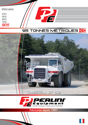 रिजिड डंप ट्रक Perlini DP 905 WD