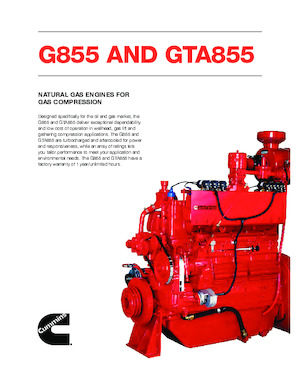 इंजन Cummins GTA855