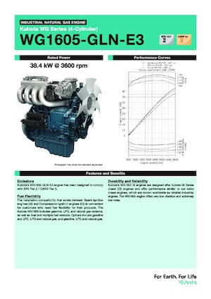 इंजन Kubota WG1605-GLN-E3