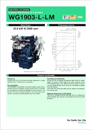 इंजन Kubota WG1903-L-LM