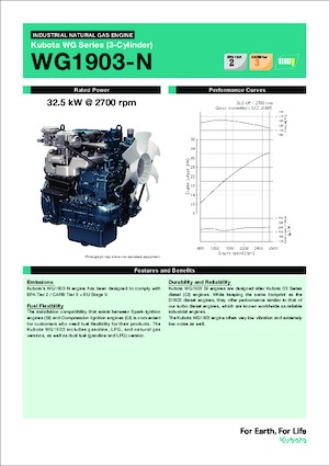 इंजन Kubota WG1903-N