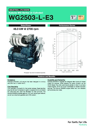 इंजन Kubota WG2503-L-E3