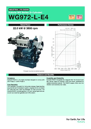 इंजन Kubota WG972-L-E4