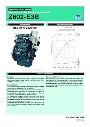 इंजन Kubota Z602-E3B