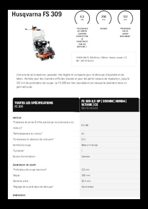 फ्लोर सॉ Husqvarna FS 309