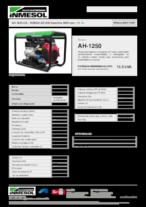 गैसोलीन पावर जनरेटर INMESOL AH 1250-CA
