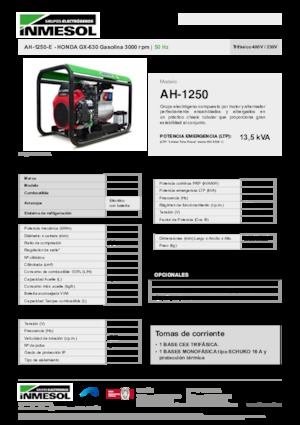 गैसोलीन पावर जनरेटर INMESOL AH 1250-E