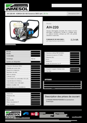 गैसोलीन पावर जनरेटर INMESOL AH-220-M