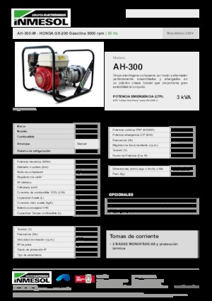 गैसोलीन पावर जनरेटर INMESOL AH-300-M