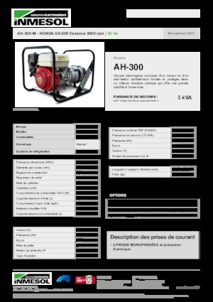 गैसोलीन पावर जनरेटर INMESOL AH-300-M