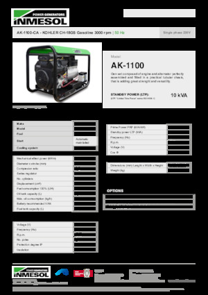गैसोलीन पावर जनरेटर INMESOL AK-1100-CA