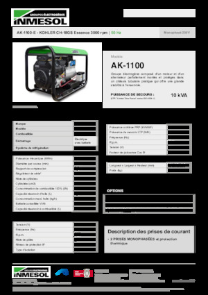 गैसोलीन पावर जनरेटर INMESOL AK-1100-E
