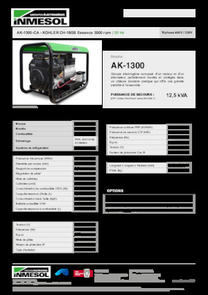 गैसोलीन पावर जनरेटर INMESOL AK-1300-CA