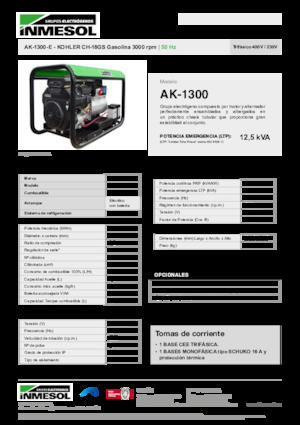 गैसोलीन पावर जनरेटर INMESOL AK-1300-E