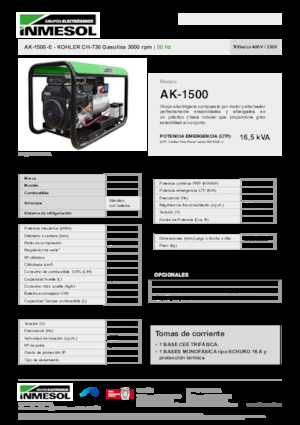 गैसोलीन पावर जनरेटर INMESOL AK-1500-E