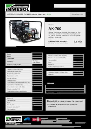 गैसोलीन पावर जनरेटर INMESOL AK-700-E